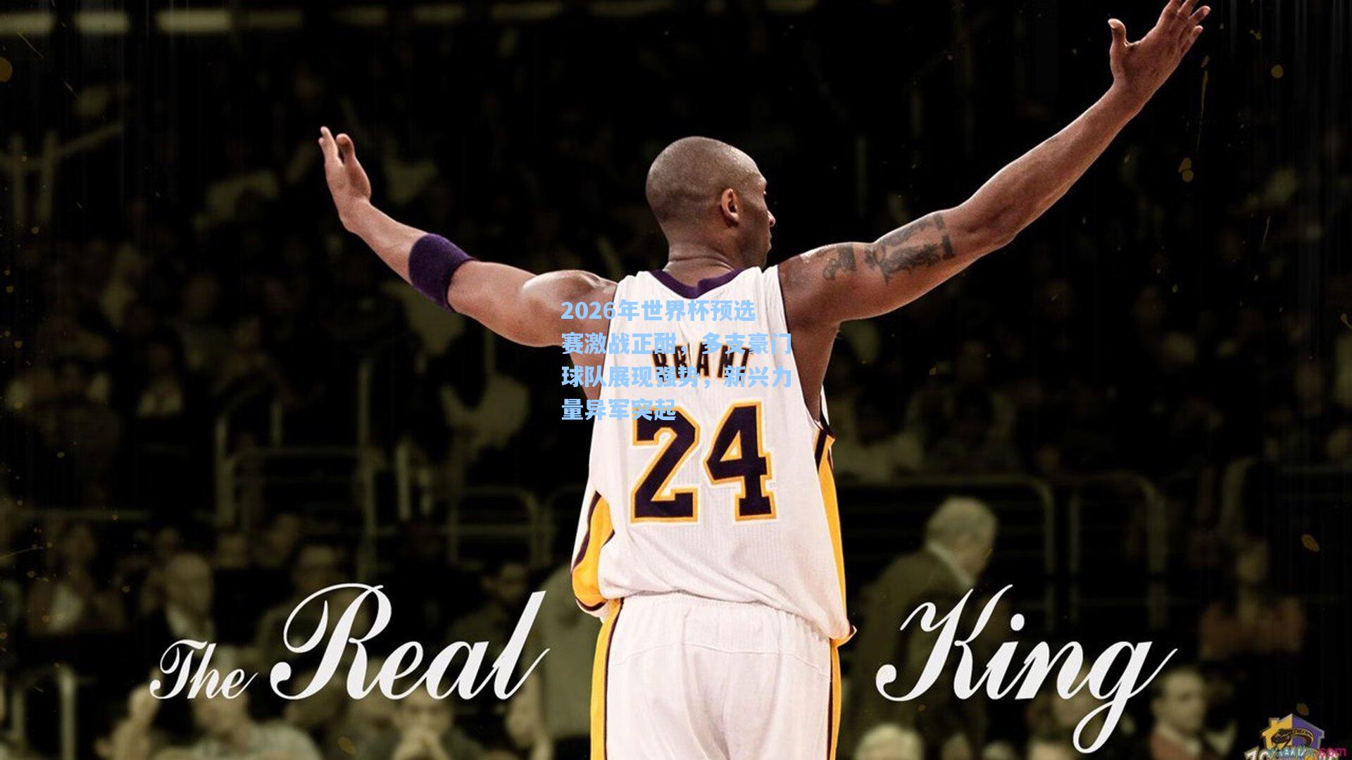 2026年世界杯预选赛激战正酣，多支豪门球队展现强势，新兴力量异军突起