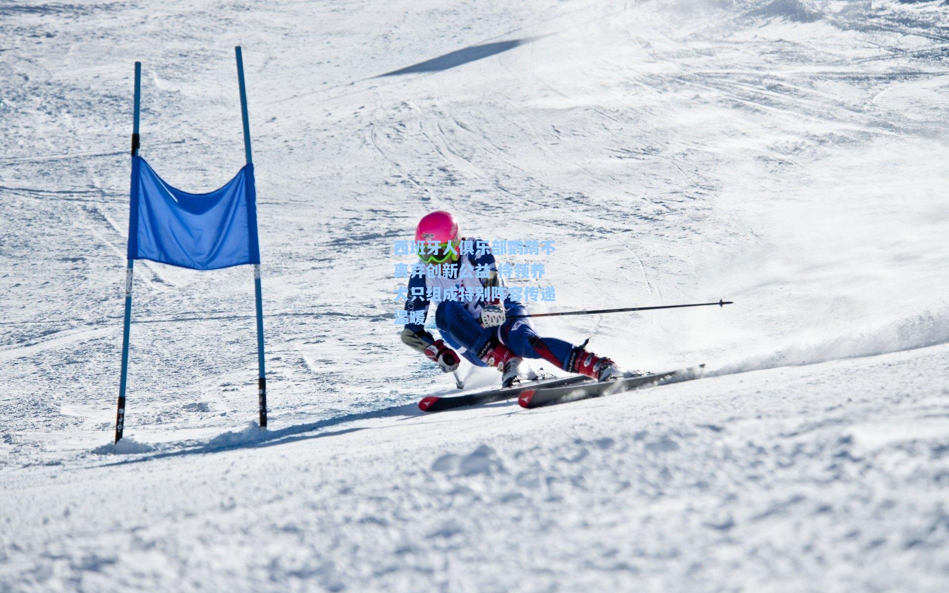 西班牙人俱乐部鹦鹉不离弃创新公益 待领养犬只组成特别阵容传递温暖