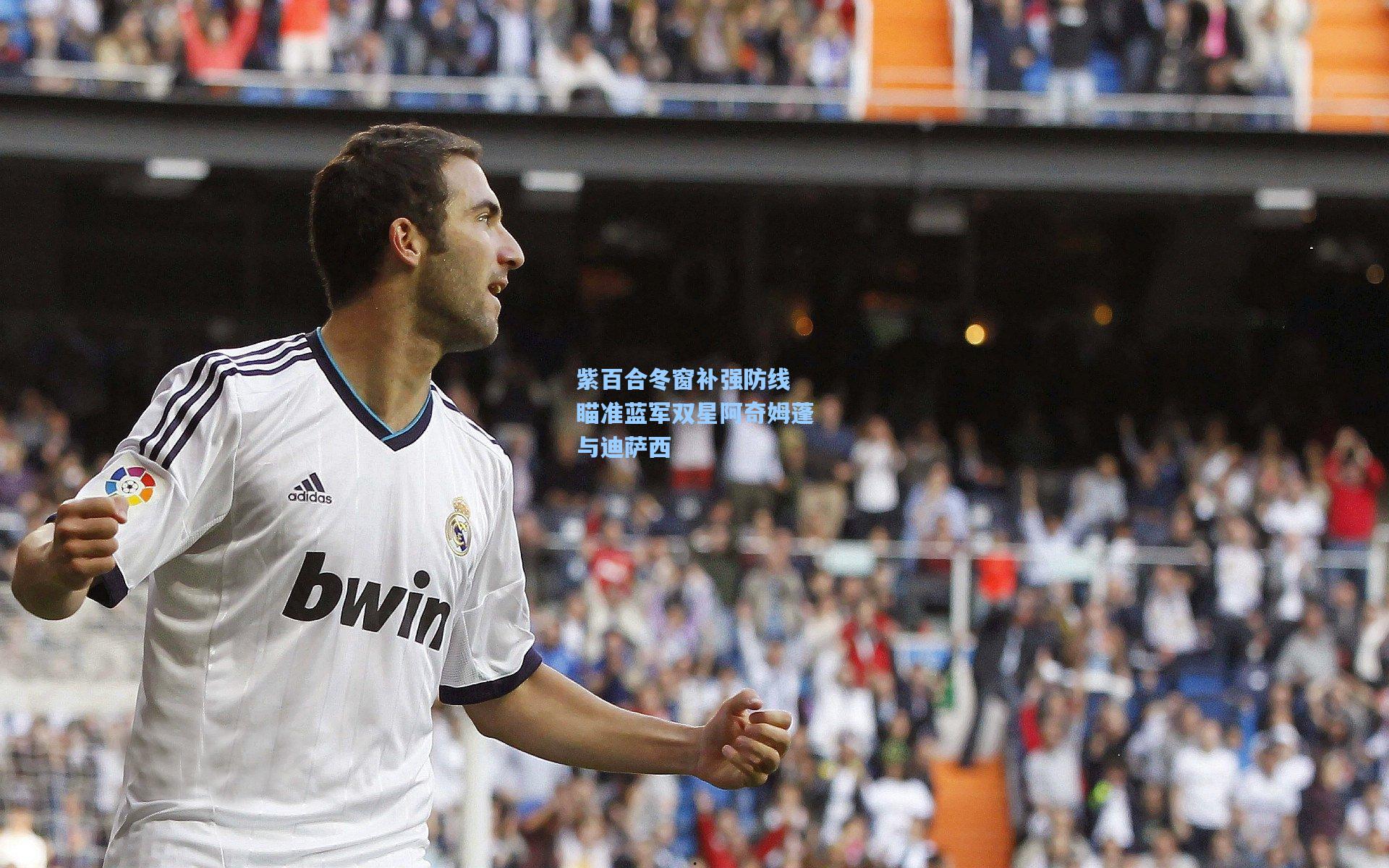 紫百合冬窗补强防线 瞄准蓝军双星阿奇姆蓬与迪萨西